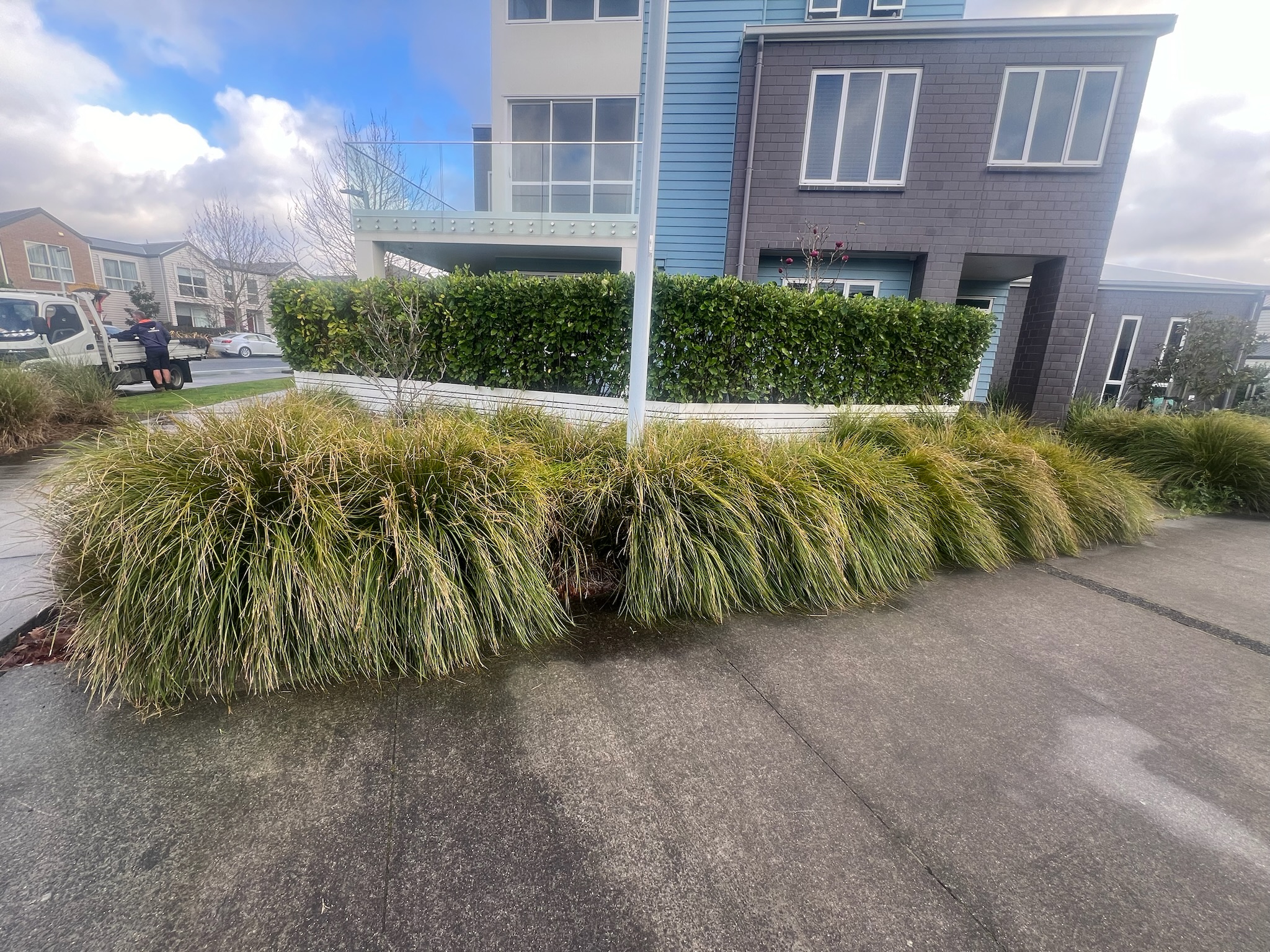 Garden Transformation Before and After